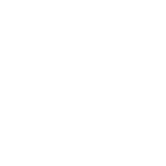 Netaş